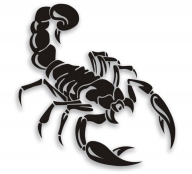 Рогейн Scorpions